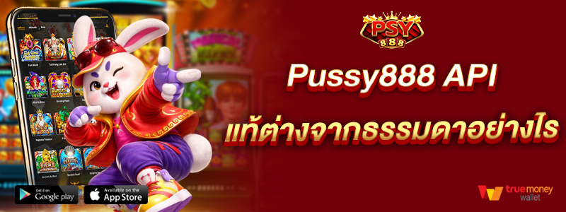 Pussy888 Api แท้ต่างจากธรรมดาอย่างไร