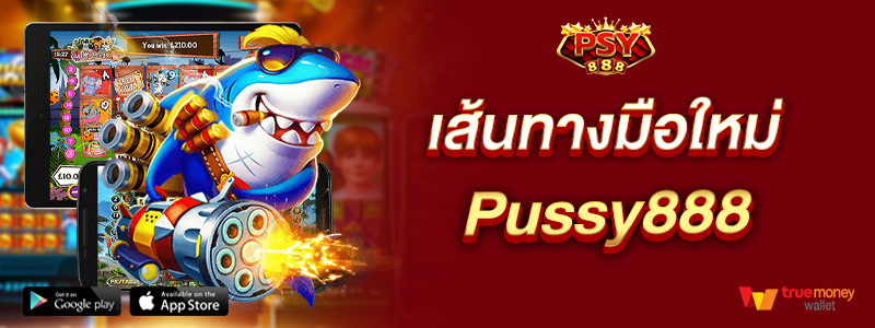 เส้นทางมือใหม่ Pussy888
